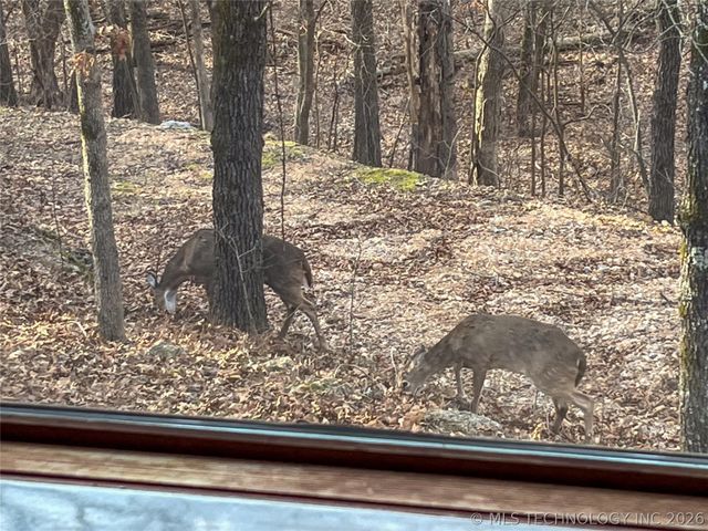 449 Private Road 065 Road, Eucha, OK 74342