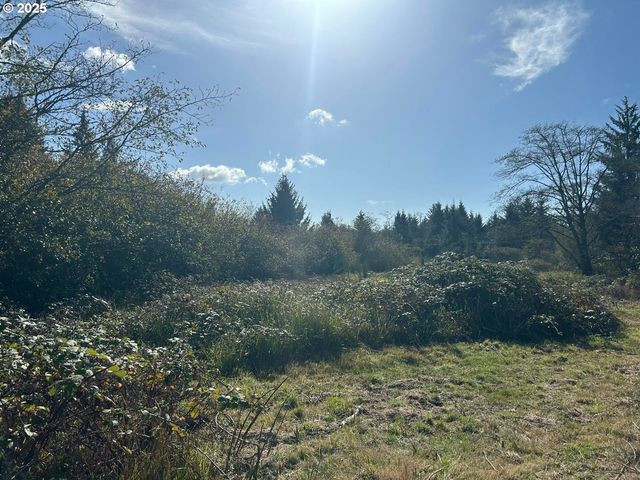 TL2400 Alderbrook Rd, Tillamook, OR 97141