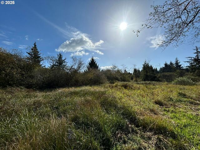 TL2400 Alderbrook Rd, Tillamook, OR 97141