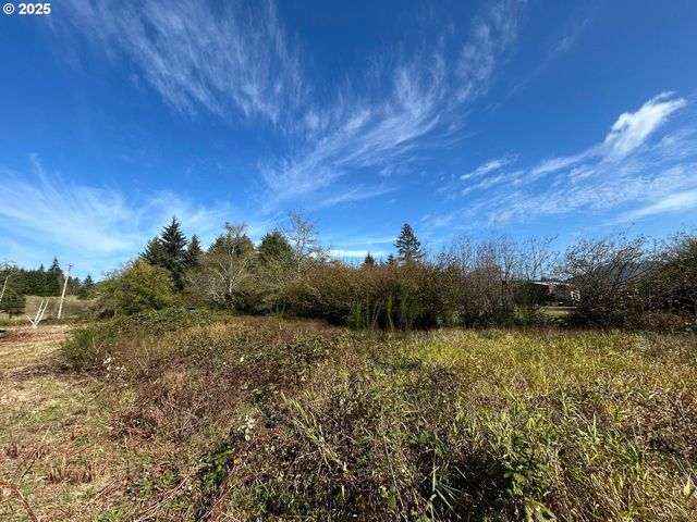 TL2400 Alderbrook Rd, Tillamook, OR 97141