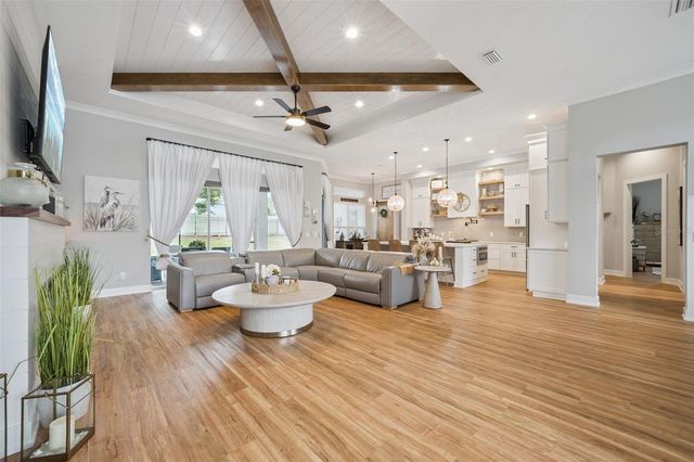 221 TWO LAKES LANE, Eustis, FL 32726