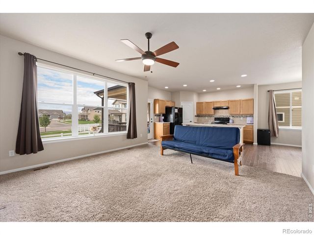 1205 Muskox Street, Severance, CO 80550