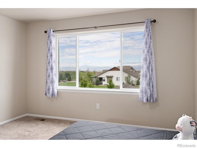 1205 Muskox Street, Severance, CO 80550