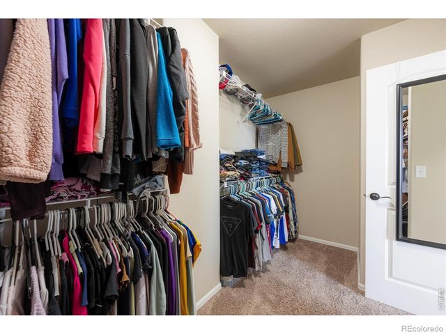 1205 Muskox Street, Severance, CO 80550