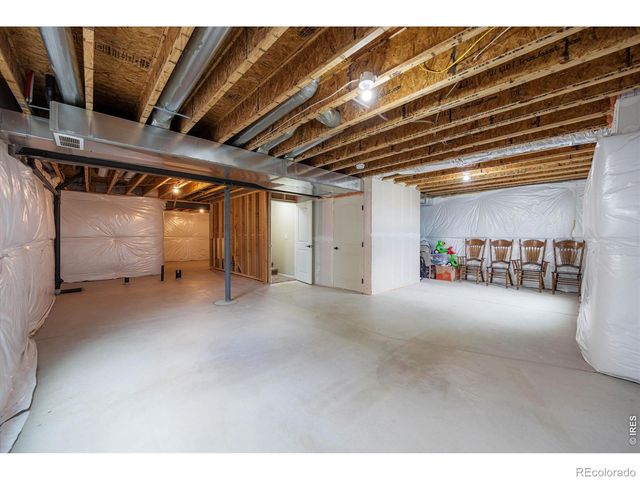 1205 Muskox Street, Severance, CO 80550