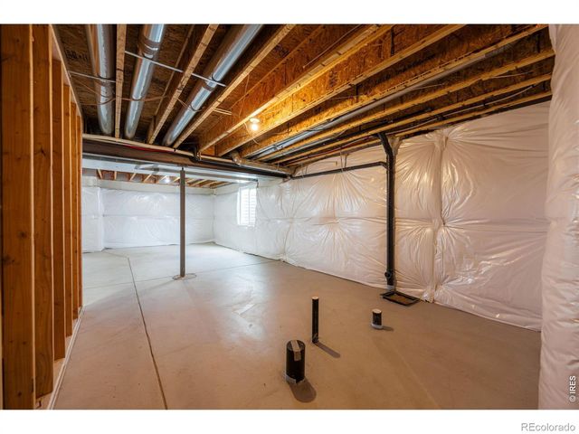 1205 Muskox Street, Severance, CO 80550