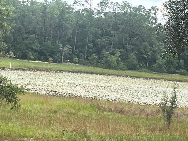 129 VIOLA DRIVE, Hawthorne, FL 32640