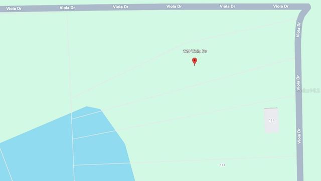 129 VIOLA DRIVE, Hawthorne, FL 32640