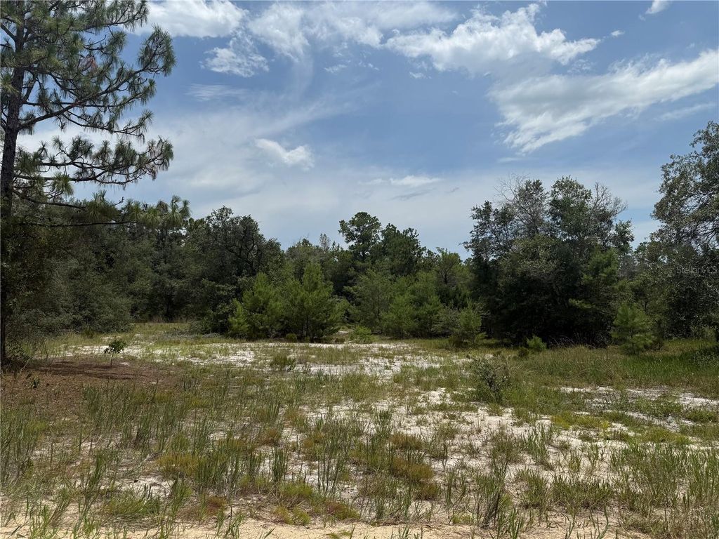 129 VIOLA DRIVE, Hawthorne, FL 32640