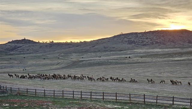 7864 Heart J Trail, Loveland, CO 80537