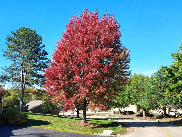 787 Oak Hill Road 467, Lake Barrington, IL 60010