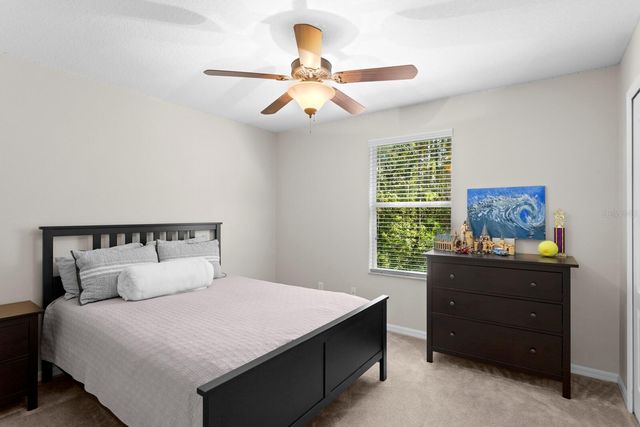 12525 SHIREBROOK COURT, Tampa, FL 33626