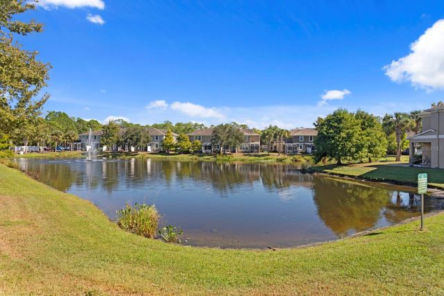 12525 SHIREBROOK COURT, Tampa, FL 33626