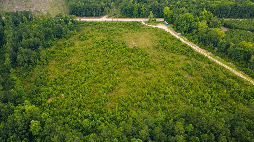 Lot B Fries Bay Rd., Loris, SC 29569 — photo 4