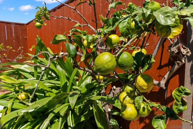 4540 Volatire St, San Diego, CA 92107