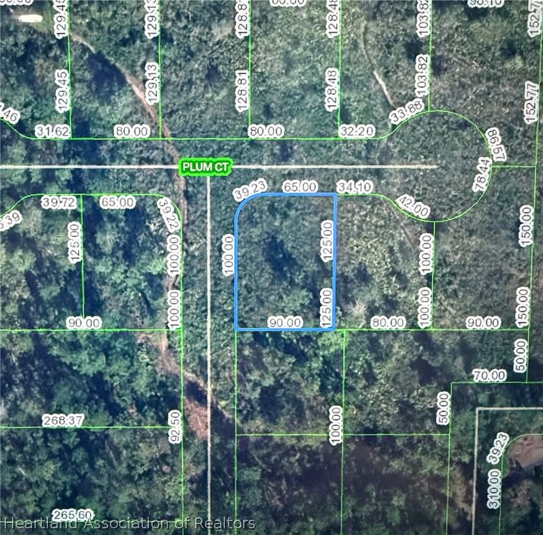 2202 Plum Court, Sebring, FL 33875