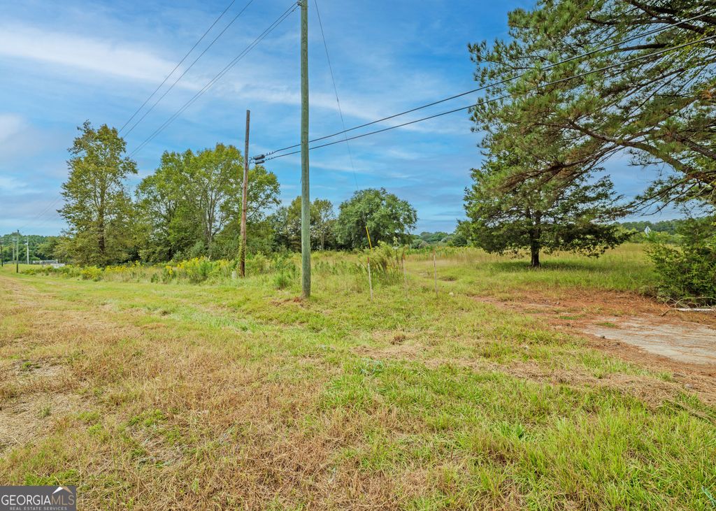 TRACT 1.73 Highway 59, Lavonia, GA 30553 — photo 5