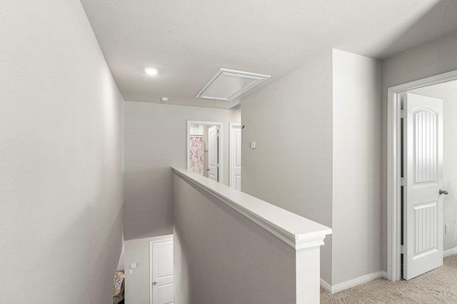 157 Cherry Laurel LN, Kyle, TX 78640