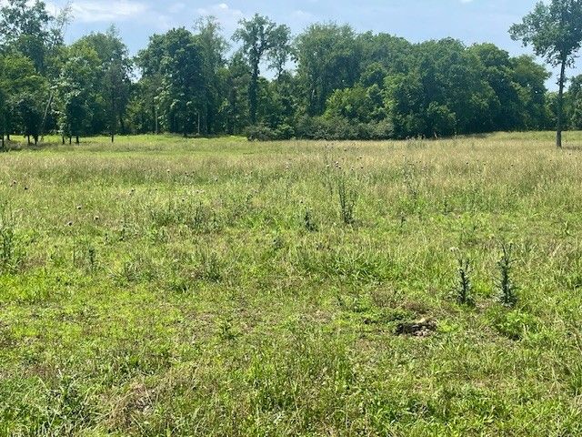 713 Lewis Ave, Shelbyville, TN 37160
