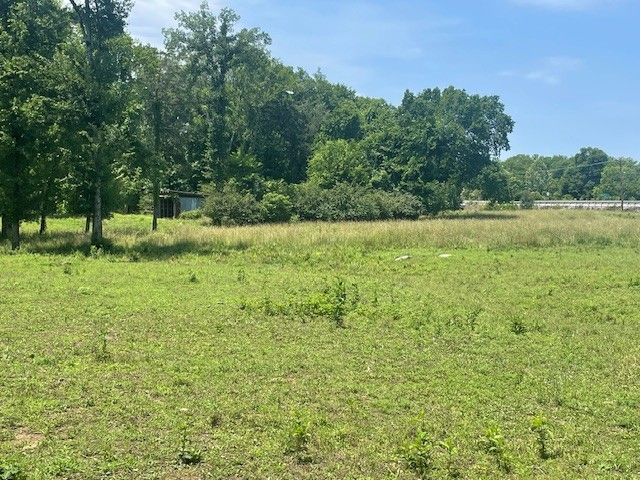 713 Lewis Ave, Shelbyville, TN 37160