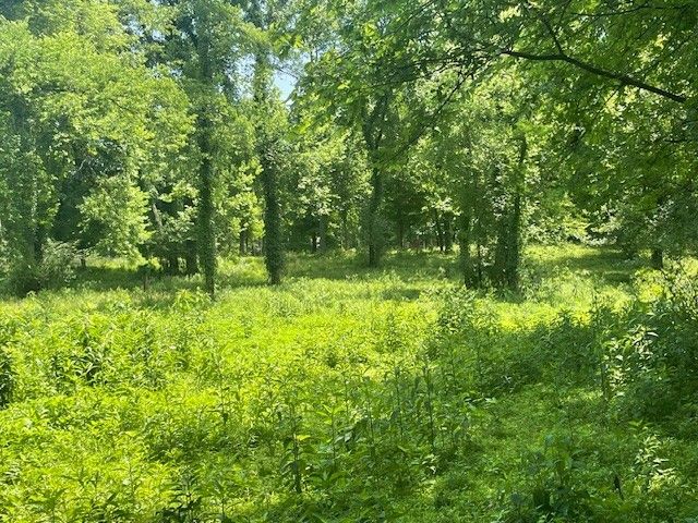 713 Lewis Ave, Shelbyville, TN 37160