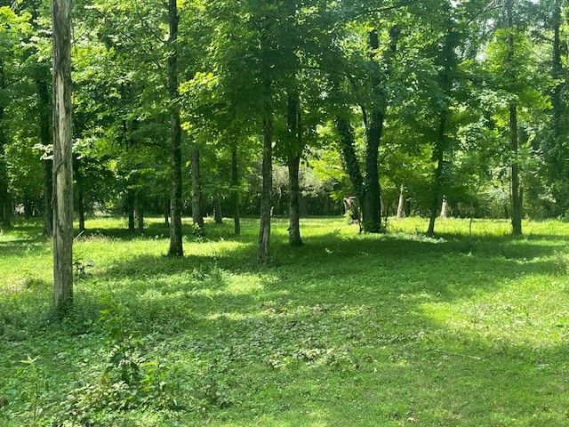 713 Lewis Ave, Shelbyville, TN 37160