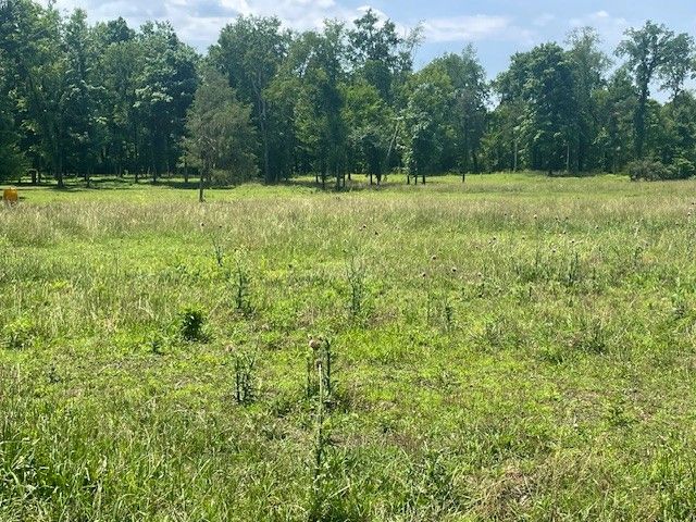 713 Lewis Ave, Shelbyville, TN 37160