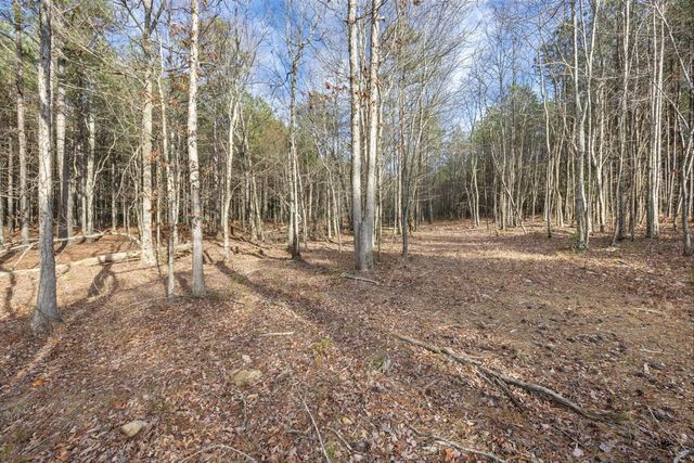0 Raulston Falls Road Jf117, Jasper, TN 37347