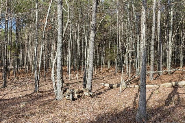 0 Raulston Falls Road Jf117, Jasper, TN 37347