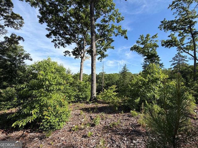 LT 304 Greenwood Court 304, Ellijay, GA 30540