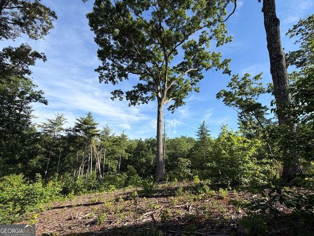 LT 304 Greenwood Court 304, Ellijay, GA 30540
