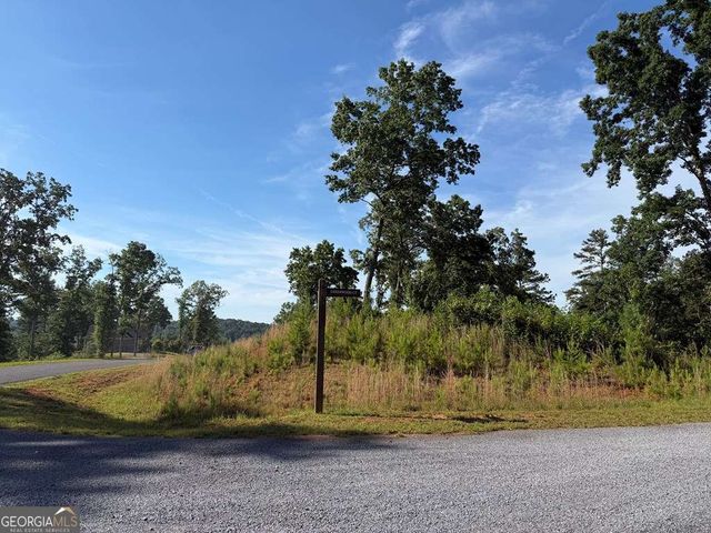 LT 304 Greenwood Court 304, Ellijay, GA 30540