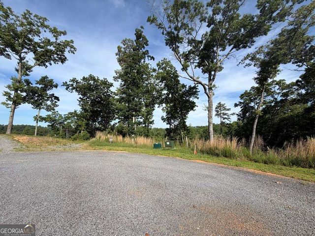 LT 304 Greenwood Court 304, Ellijay, GA 30540