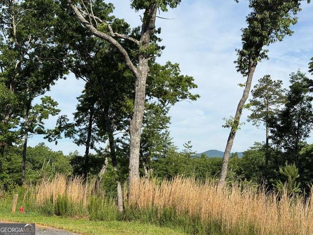 LT 304 Greenwood Court 304, Ellijay, GA 30540