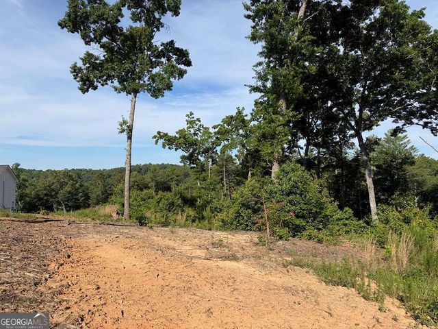 LT 304 Greenwood Court 304, Ellijay, GA 30540