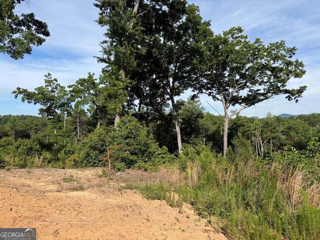 LT 304 Greenwood Court 304, Ellijay, GA 30540