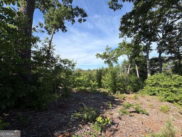 LT 304 Greenwood Court 304, Ellijay, GA 30540