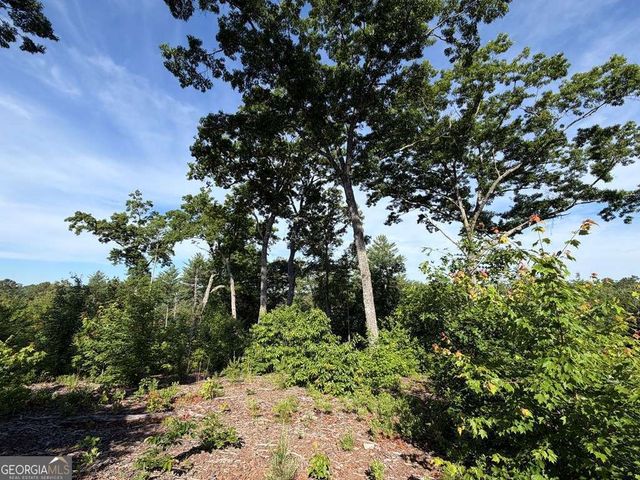LT 304 Greenwood Court 304, Ellijay, GA 30540