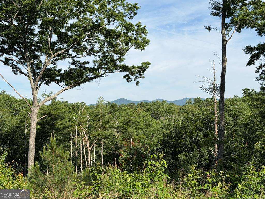 LT 304 Greenwood Court 304, Ellijay, GA 30540