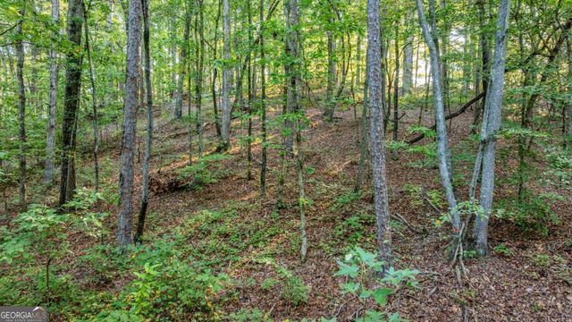 0 Myrtle Drive, Dahlonega, GA 30533