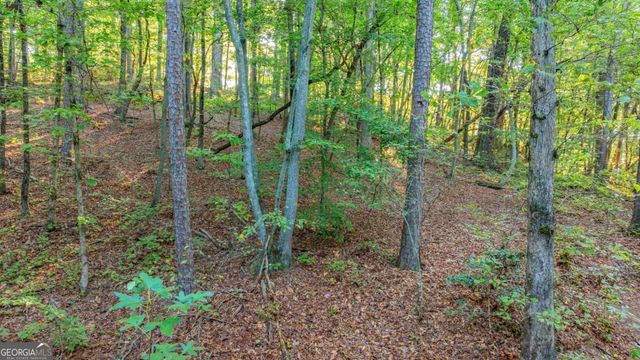 0 Myrtle Drive, Dahlonega, GA 30533