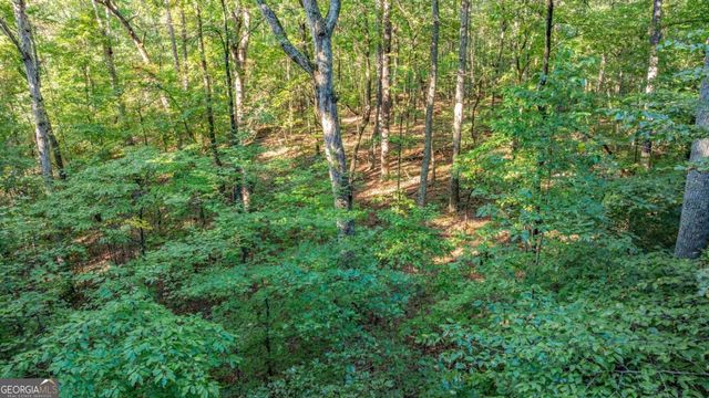 0 Myrtle Drive, Dahlonega, GA 30533