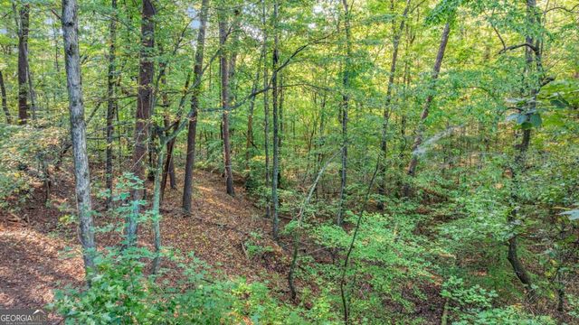 0 Myrtle Drive, Dahlonega, GA 30533