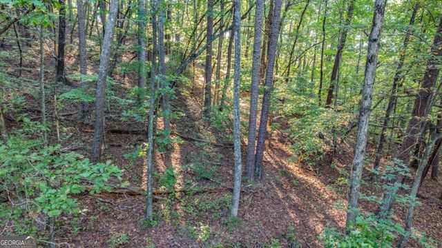 0 Myrtle Drive, Dahlonega, GA 30533