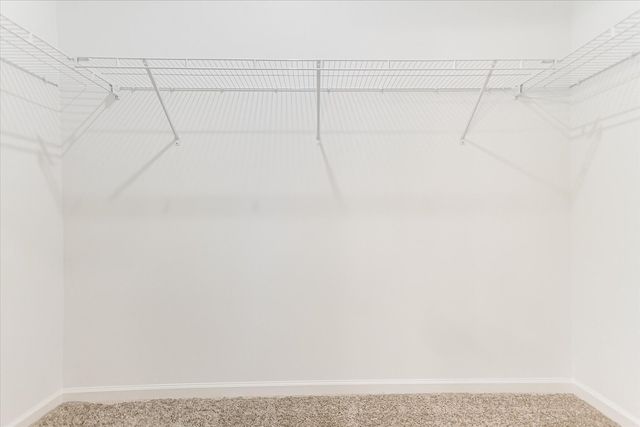 739 Alberta Avenue, Oswego, IL 60543