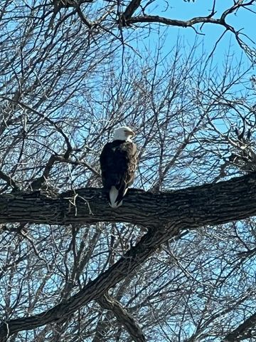 125 Homewood Drive, Fairmont, MN 56031