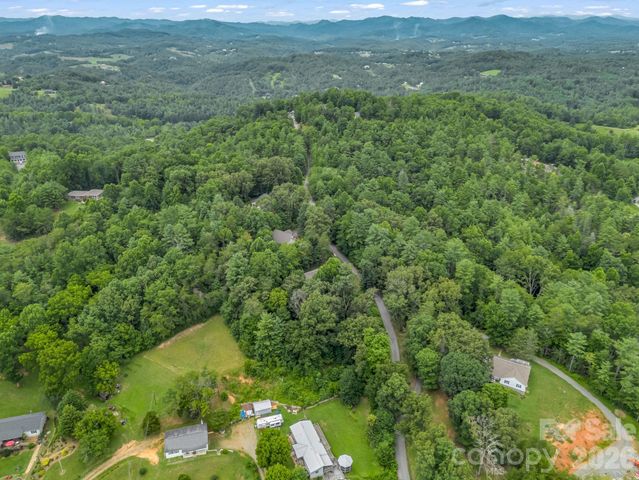 18 Buckle Ridge, Weaverville, NC 28787
