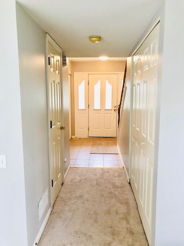 503 Orleans Avenue, Naperville, IL 60565