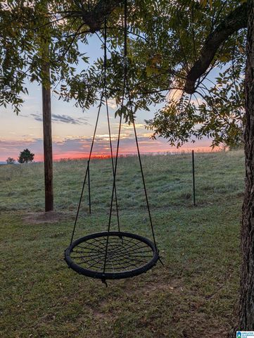 1419 COUNTY ROAD 480, Woodland, AL 36280