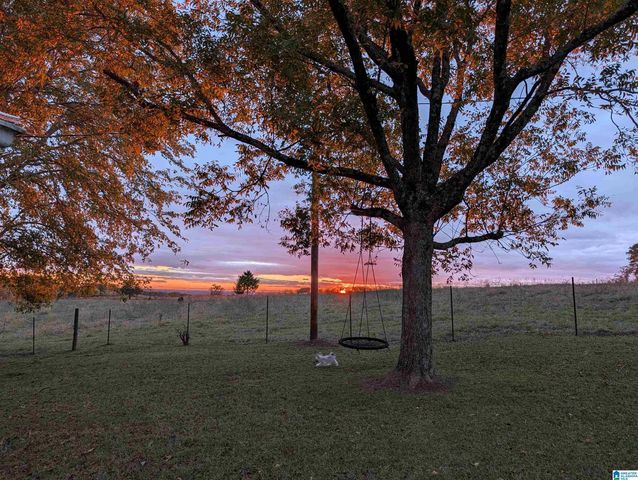 1419 COUNTY ROAD 480, Woodland, AL 36280